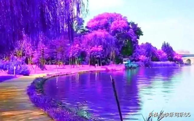 两千九百公里多少钱的油费?-专业的有问必答平台